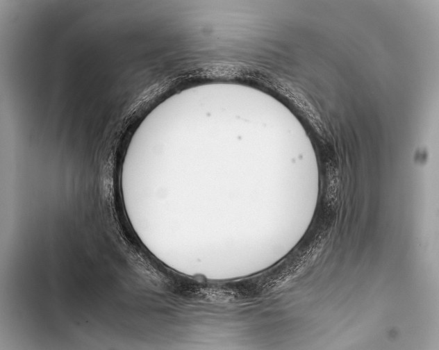 X0000103450681200810031436