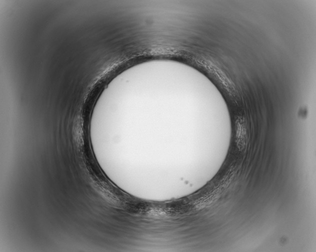 X0000103450684200810031436