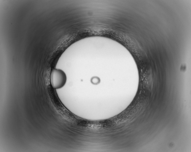 X0000103450694200810031436