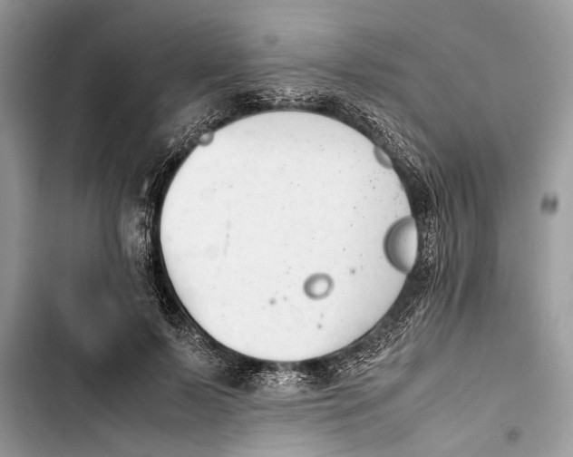 X0000103450695200810031436