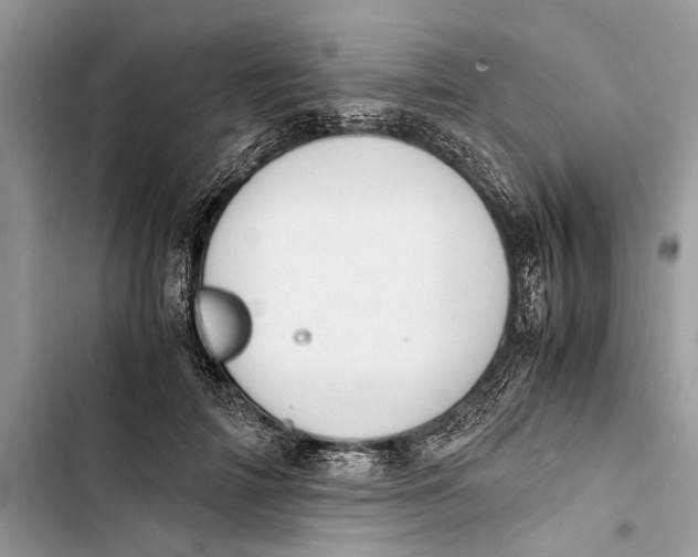 X0000103450698200810031436