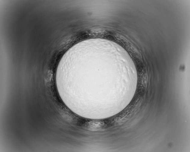 X0000103450711200810031435