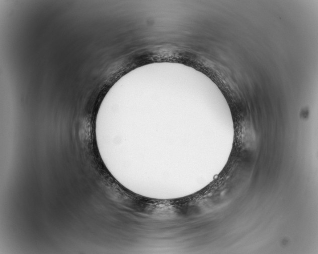 X0000103450715200810031435