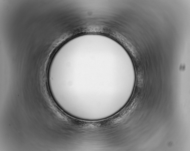 X0000103450721200810031435