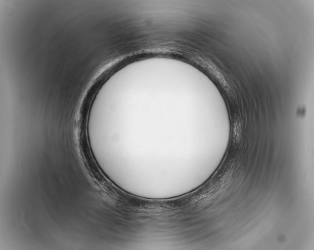 X0000103450724200810031435