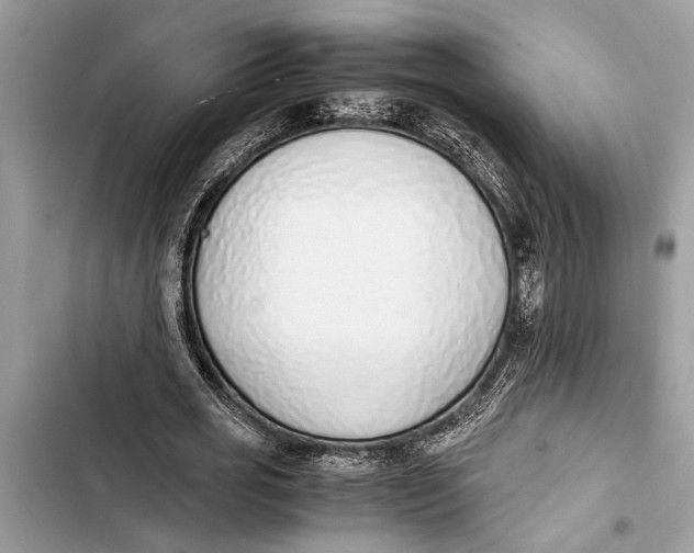 X0000103450725200810031435