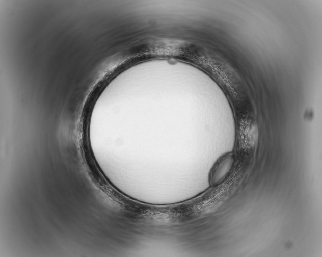 X0000103450726200810031435