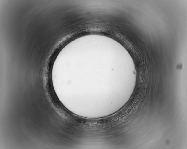 X0000103450728200810031435