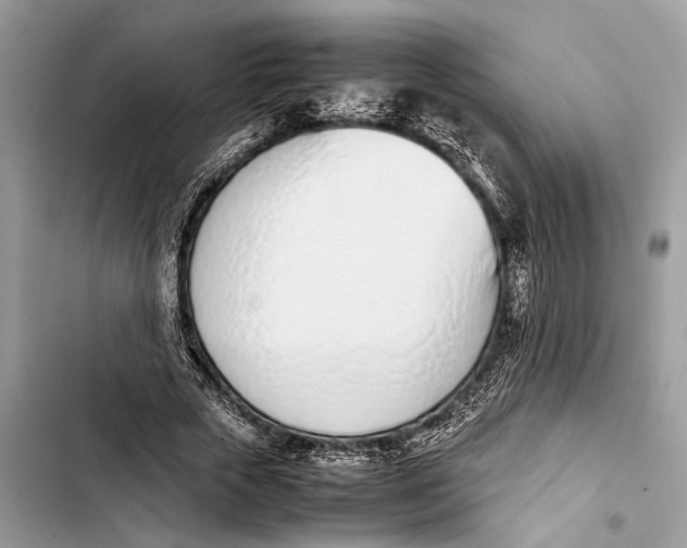 X0000103450729200810031435