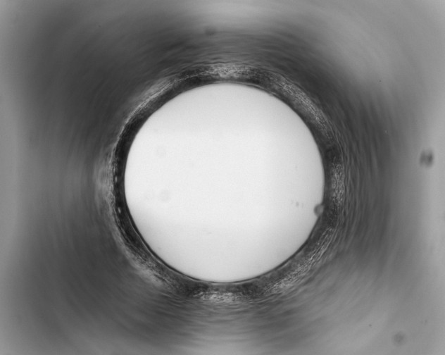 X0000103450730200810031435