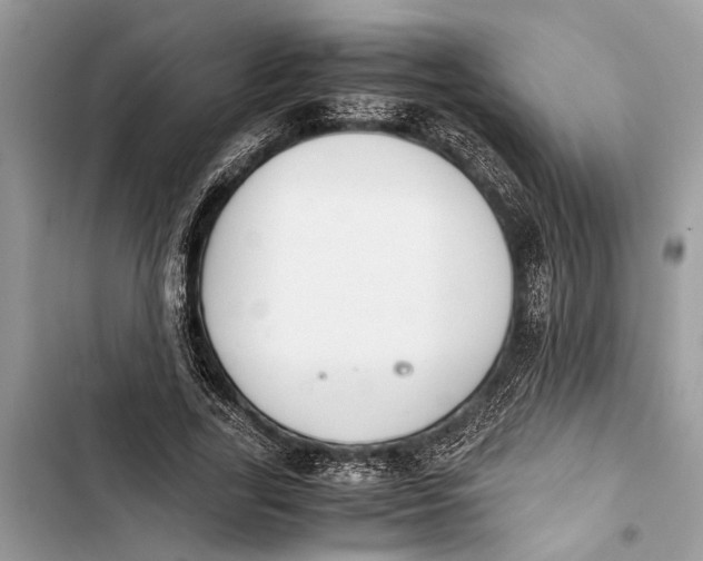 X0000103450731200810031435