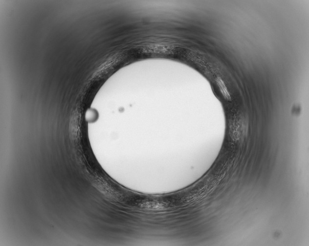 X0000103450735200810031435