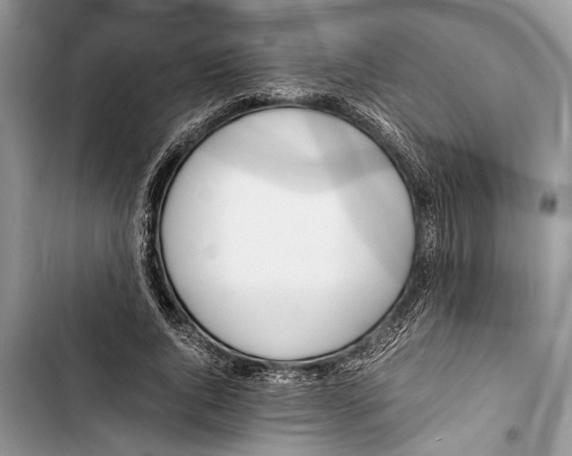 X0000103450736200810031435