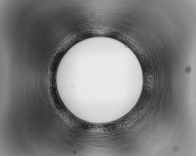 X0000103450738200810031435