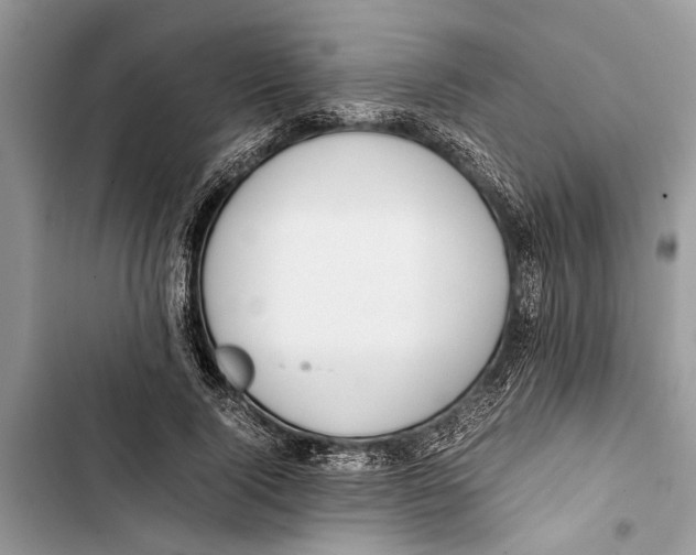 X0000103450740200810031435