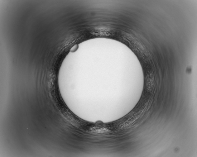 X0000103450747200810031435