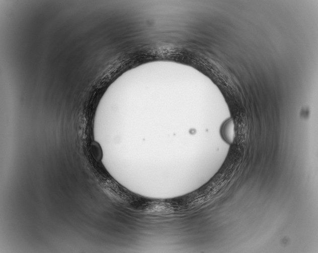 X0000103450750200810031435