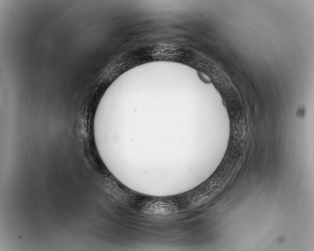 X0000103450755200810031435