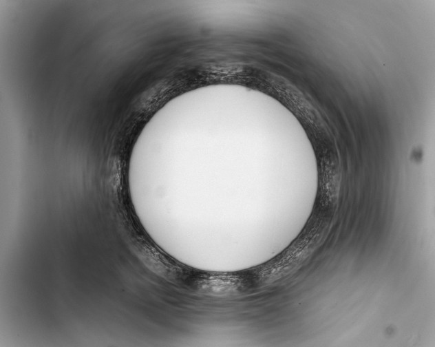 X0000103450758200810031435