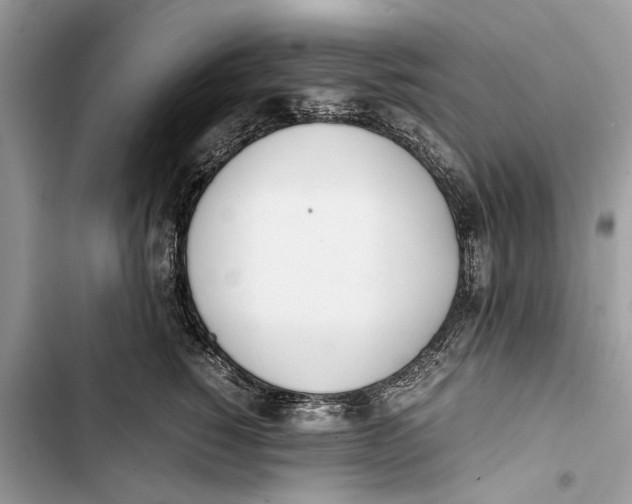 X0000103450760200810031435