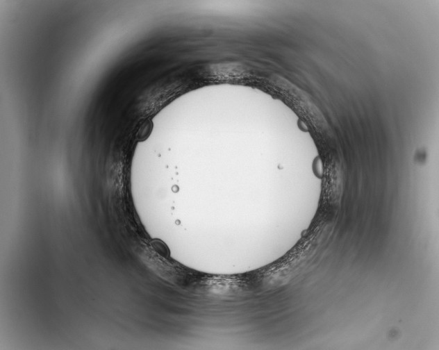 X0000103450762200810031435