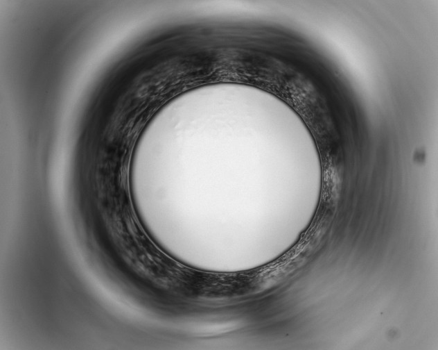 X0000103450765200810031435