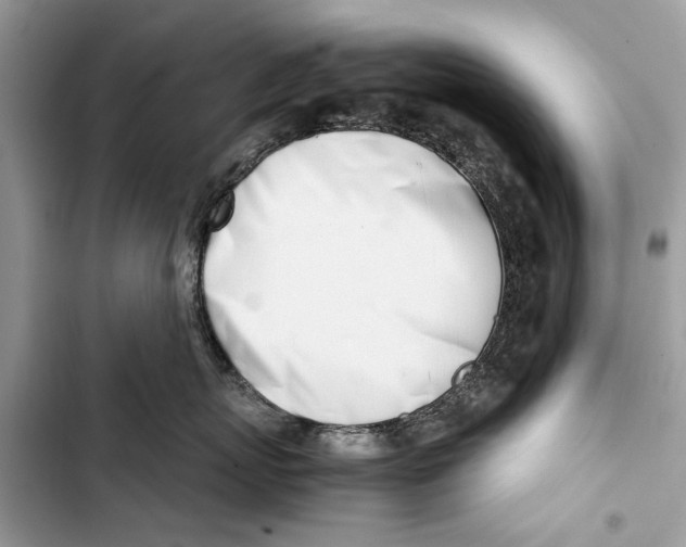 X0000103450767200810031435