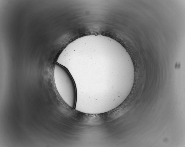 X0000103450768200810031435