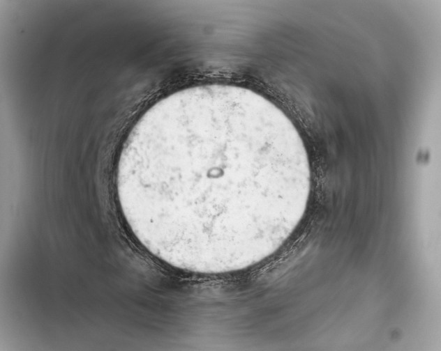 X0000103450769200810031435