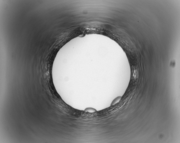 X0000103450771200810031435