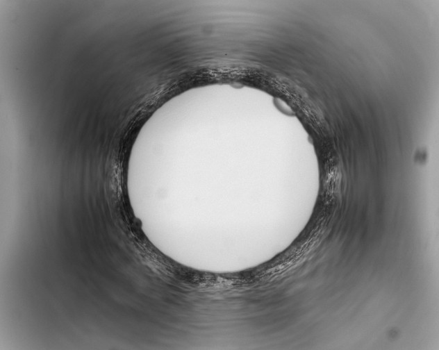 X0000103450772200810031435