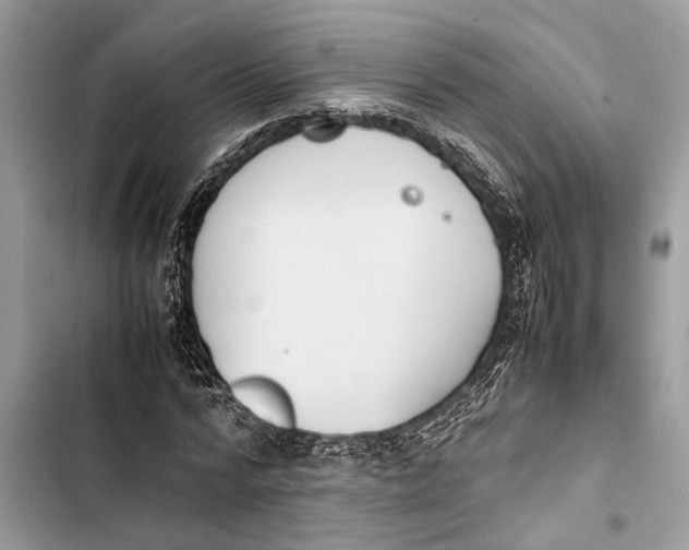 X0000103450776200810031435