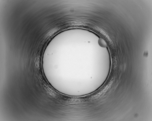 X0000103450777200810031435