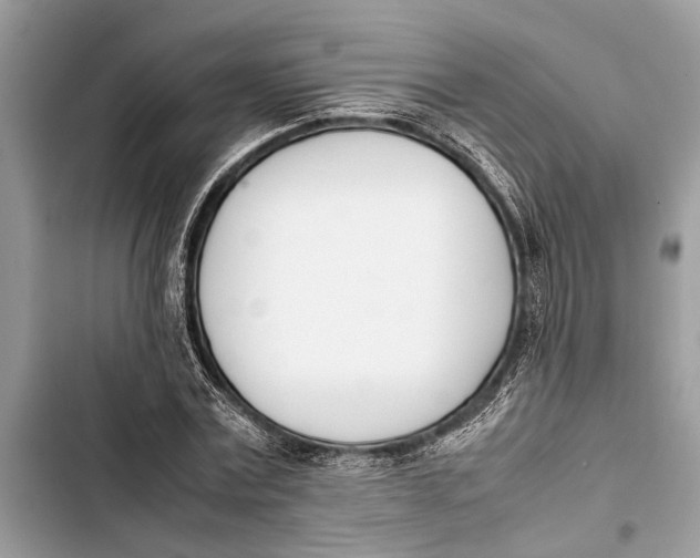 X0000103450779200810031434