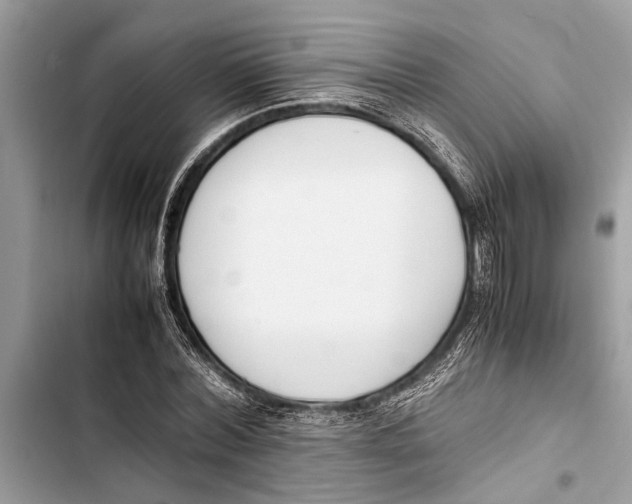 X0000103450780200810031434