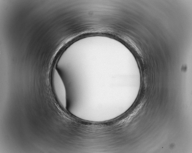 X0000103450781200810031434