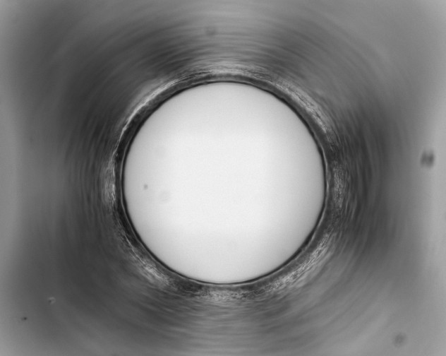 X0000103450782200810031434