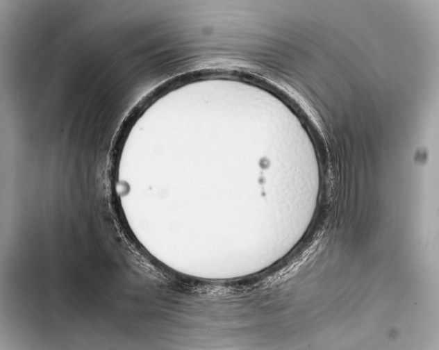 X0000103450783200810031434