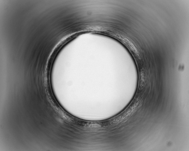 X0000103450784200810031434