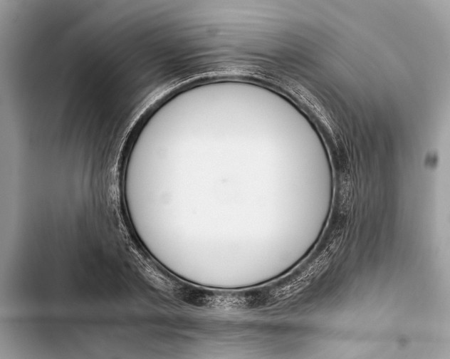 X0000103450789200810031434