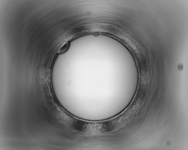 X0000103450793200810031434