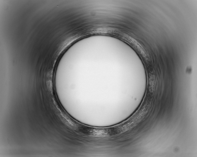 X0000103450794200810031434