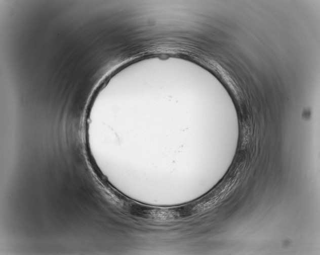 X0000103450795200810031434