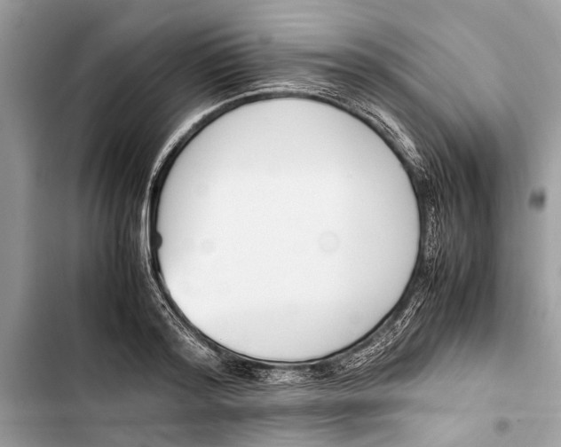 X0000103450796200810031434