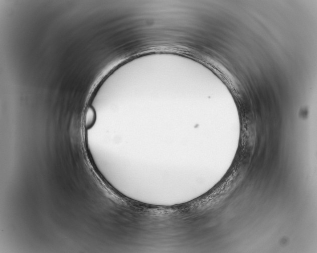 X0000103450804200810031434