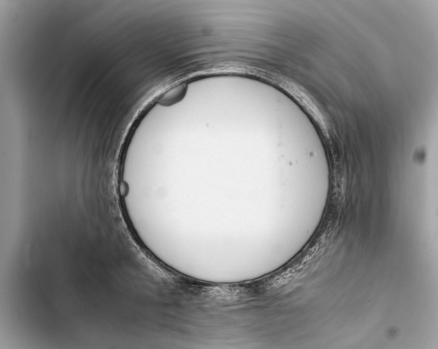 X0000103450805200810031434