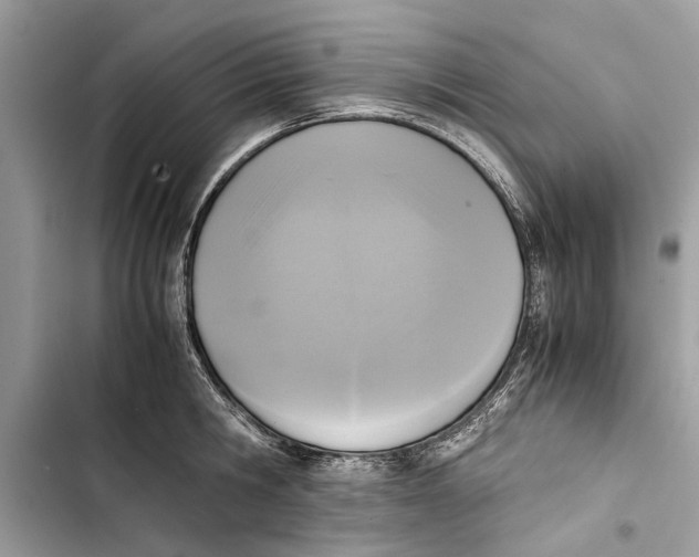 X0000103450806200810031434