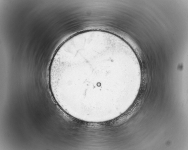 X0000103450807200810031434