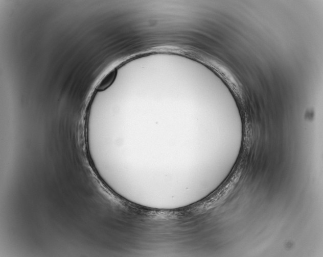 X0000103450808200810031434