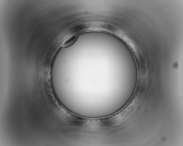 X0000103450809200810031434